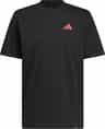 Colour: Black