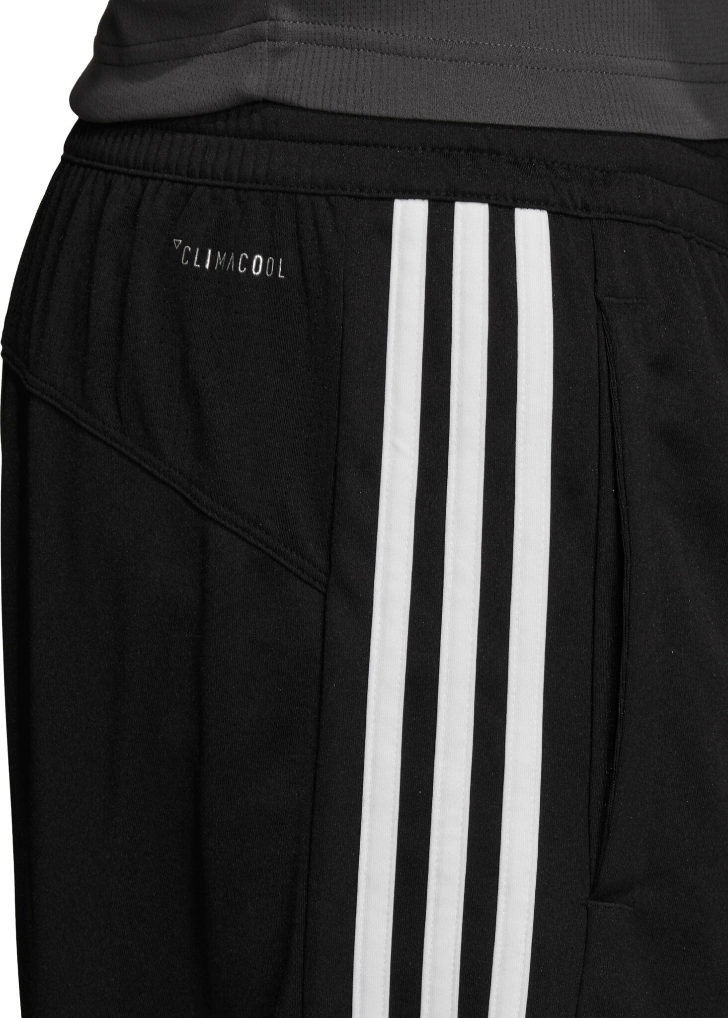 Product gallery image number 6 for product Designed 2 Move Climacool 3-Stripes Shorts - Men's