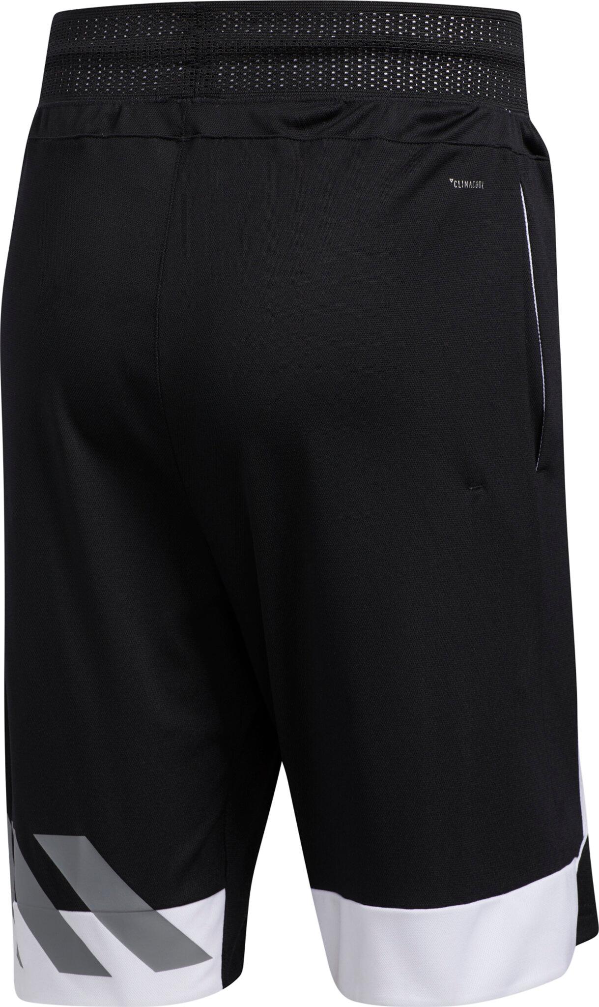 Product gallery image number 5 for product Creator 365 Basketball Shorts - Men's