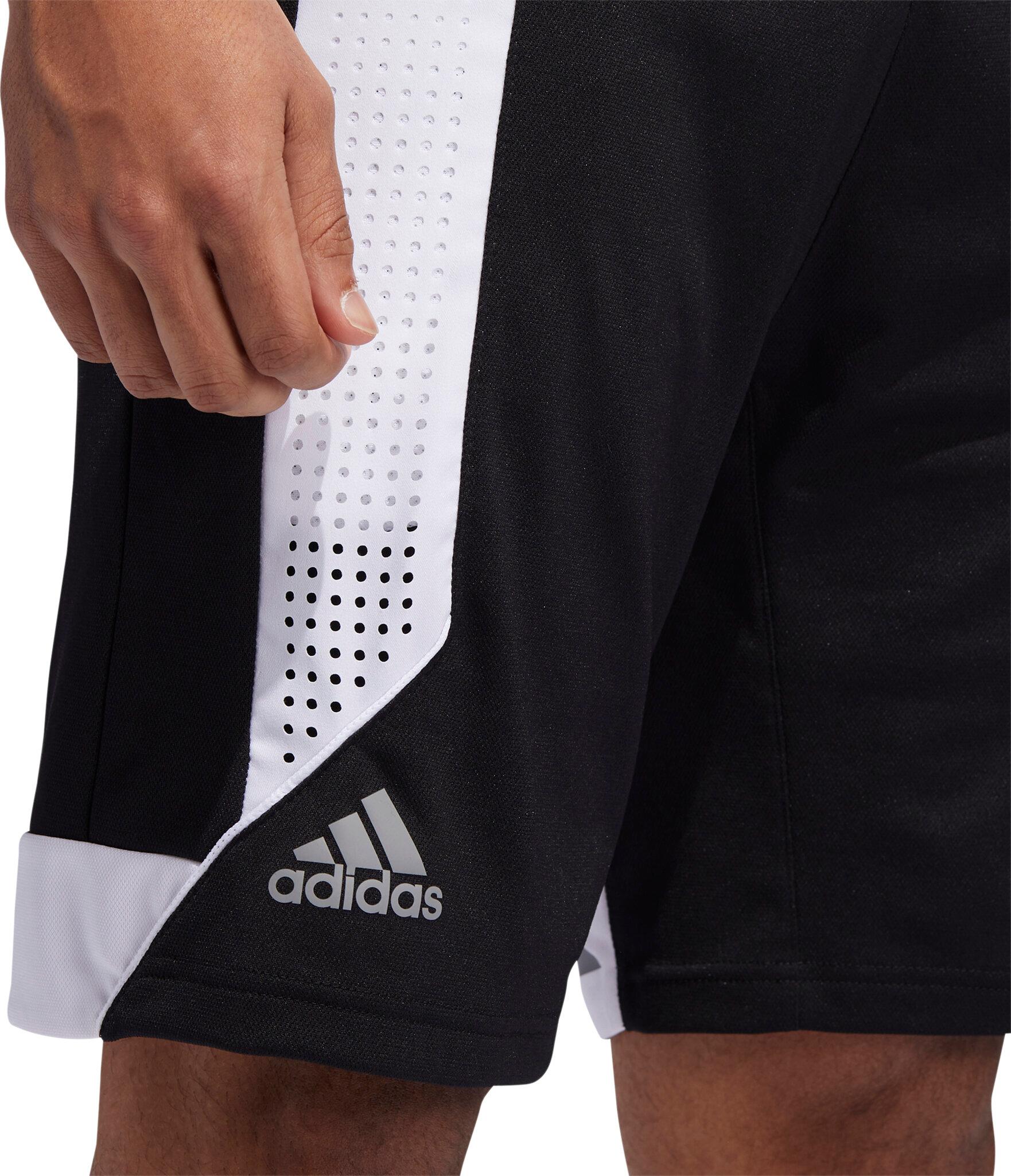 Product gallery image number 4 for product Creator 365 Basketball Shorts - Men's