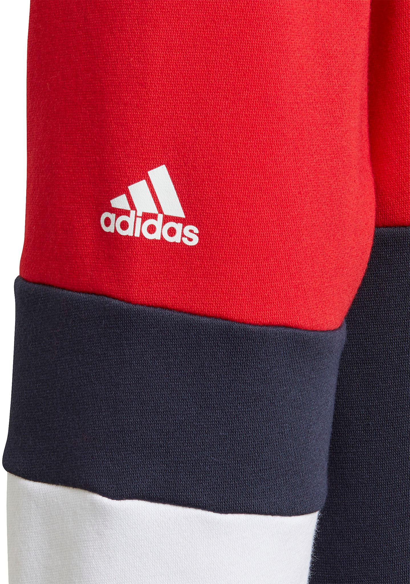 Product gallery image number 3 for product Linear Colorblock Hooded Fleece Sweatshirt - Boys