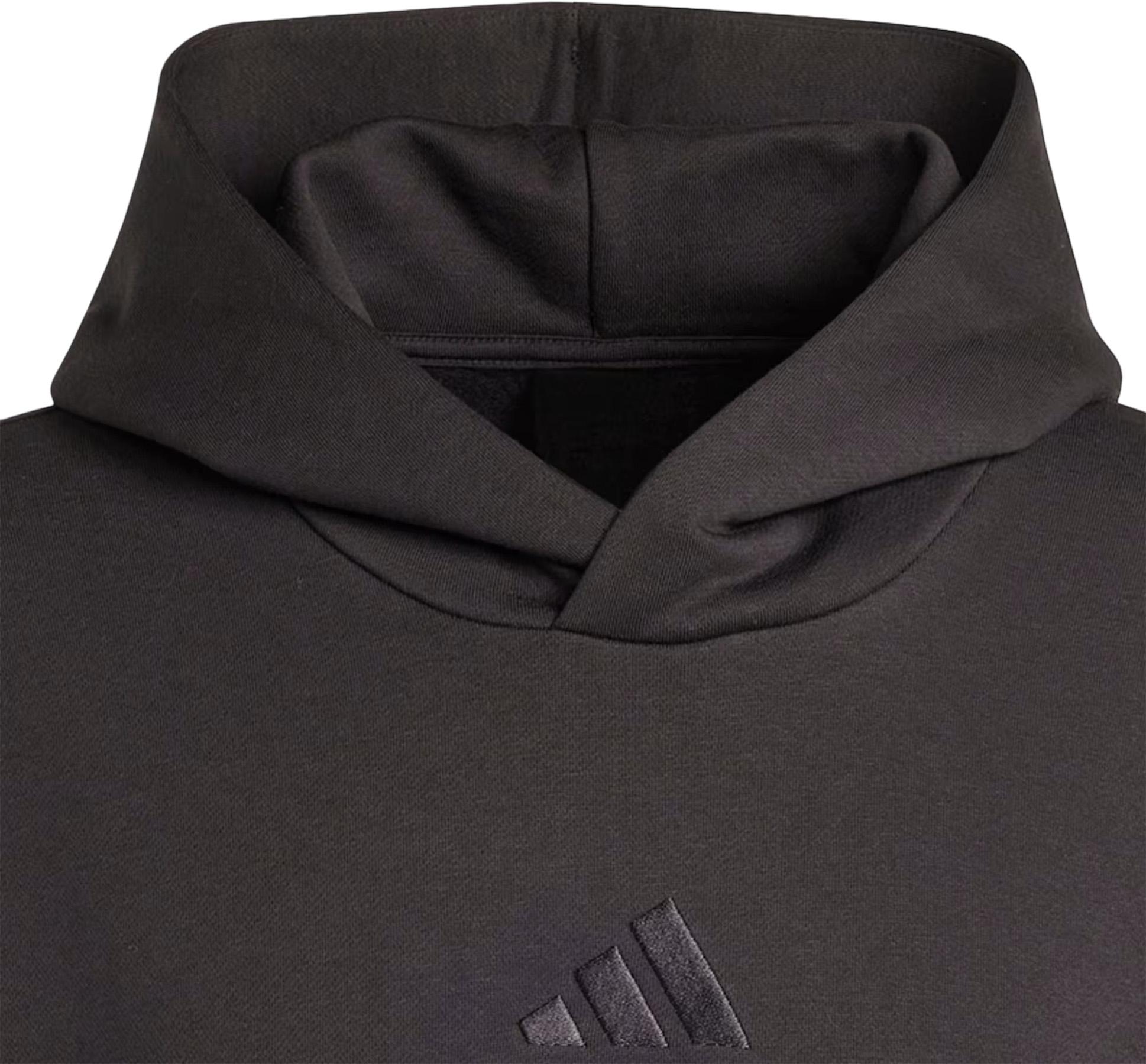 Numéro de l'image de la galerie de produits 3 pour le produit Chandail à capuchon en molleton ALL SZN - Homme