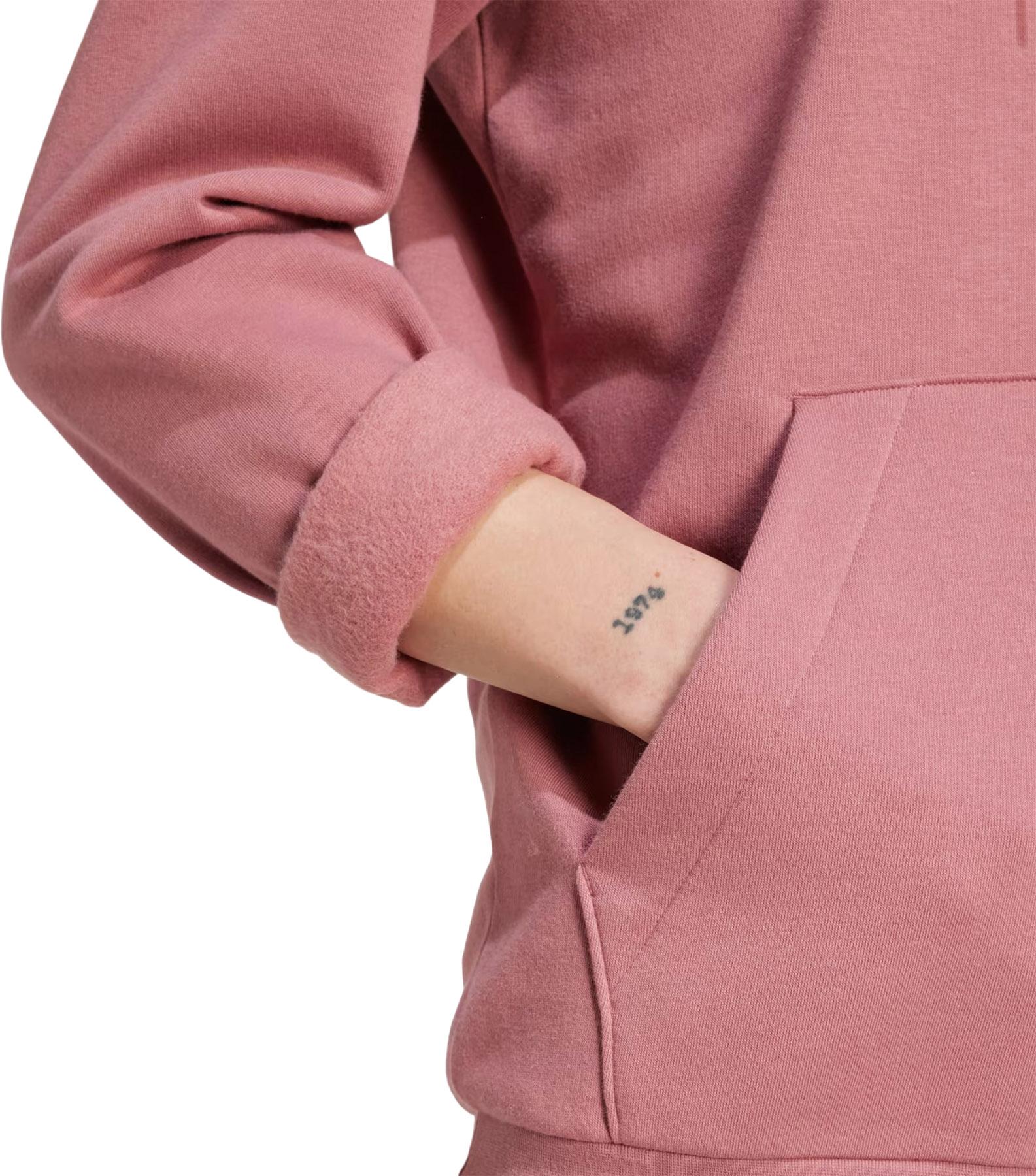 Numéro de l'image de la galerie de produits 5 pour le produit Chandail à capuchon en molleton Essentials - Homme