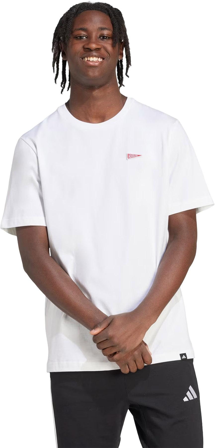 Product gallery image number 4 for product Pennant Trim Graphic T-Shirt - Men's