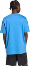 Colour: Ray Blue