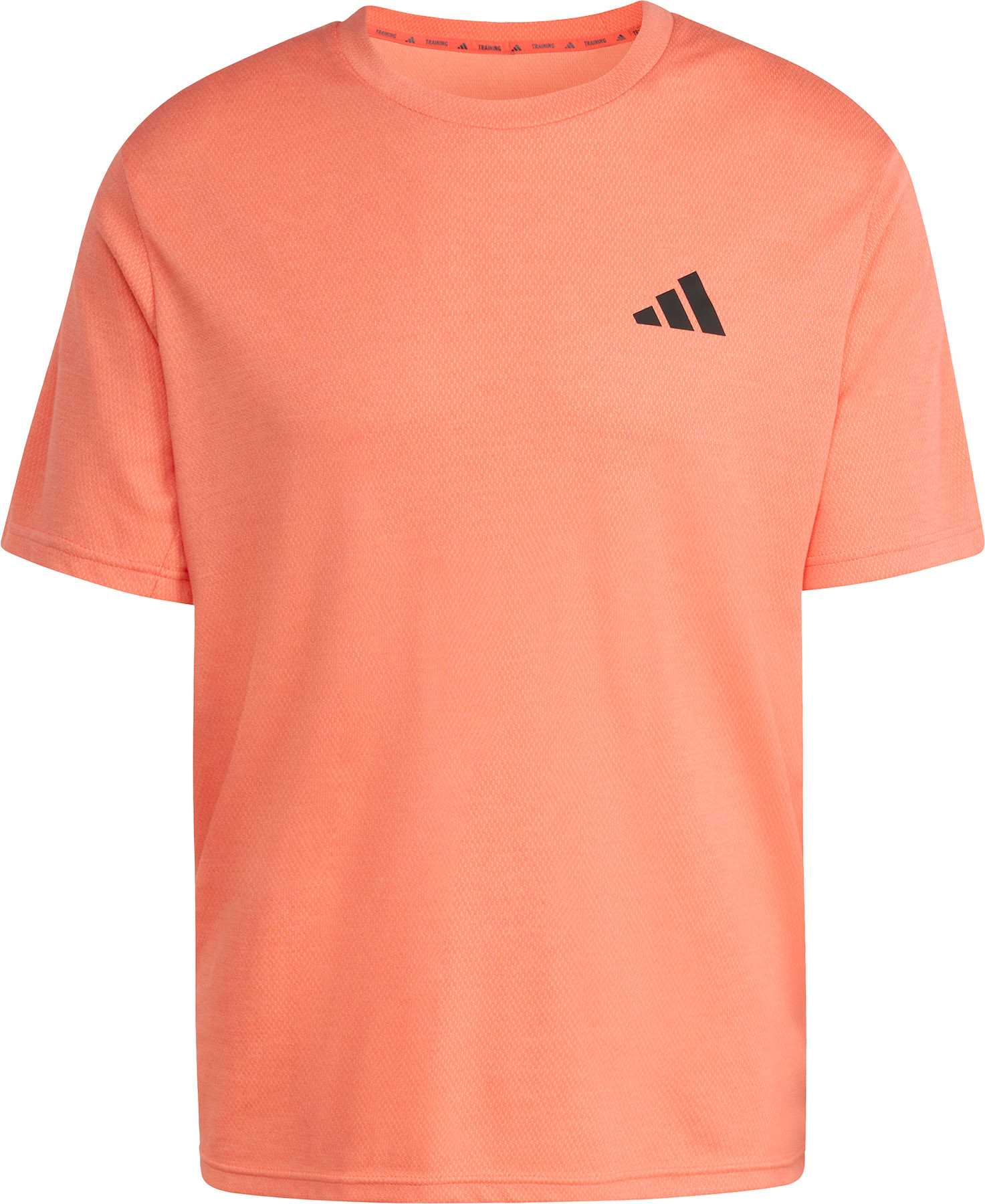 Easy Coral