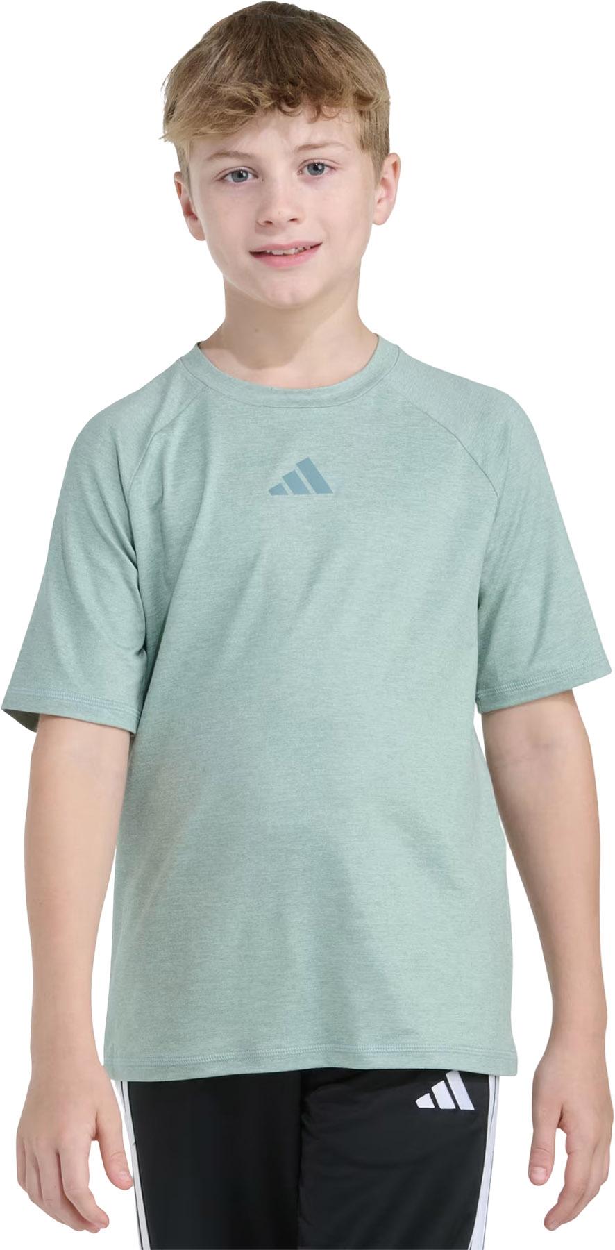 Product image for Short Sleeve Raglan Poly T-Shirt - Boys