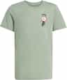 Couleur: Silver Green