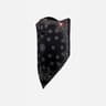 Couleur: Black Paisley