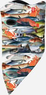 Couleur: Fish