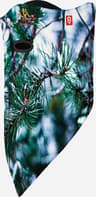 Couleur: Pines