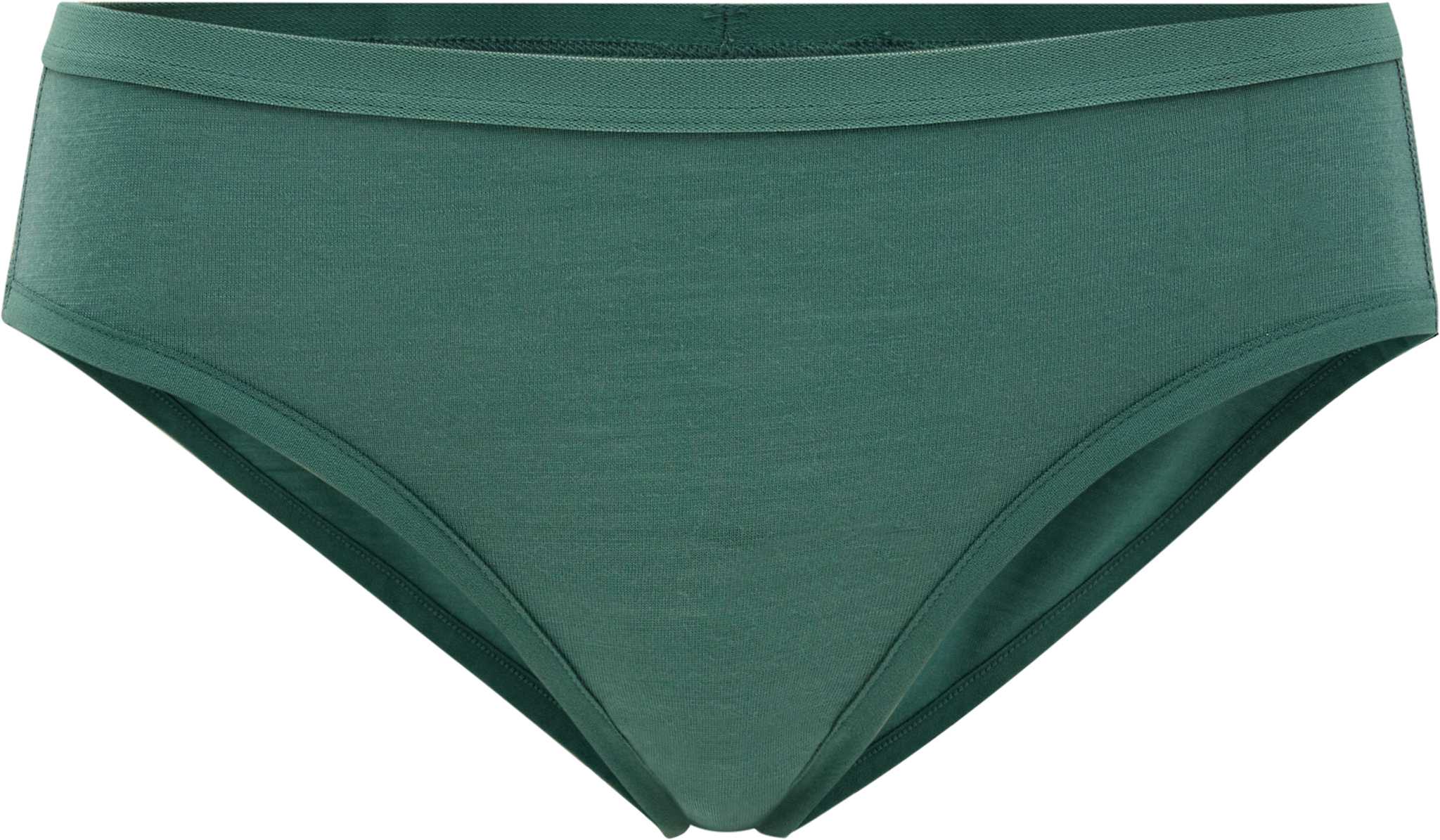 Product image for Merino Brief - Women's