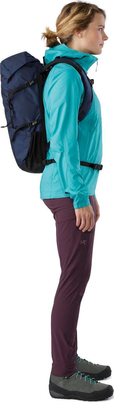 Product gallery image number 3 for product Brize 25 Backpack