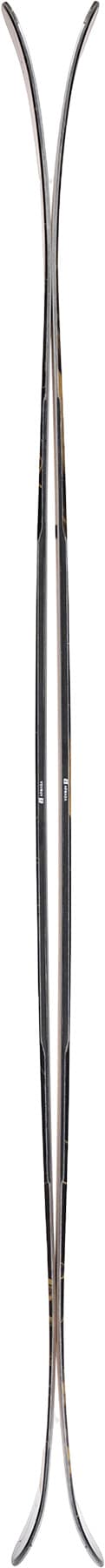 Numéro de l'image de la galerie de produits 3 pour le produit Skis BDog 94