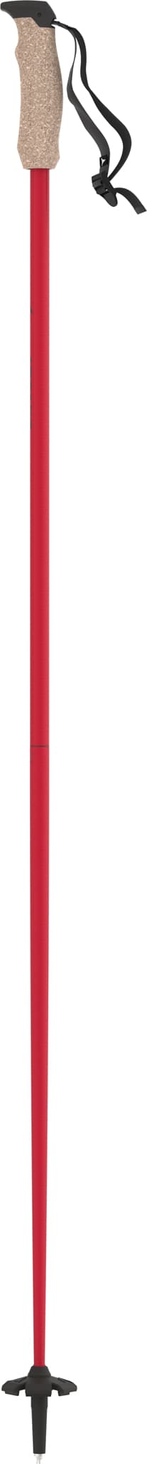 Product gallery image number 1 for product AMT Carbon Ski Poles