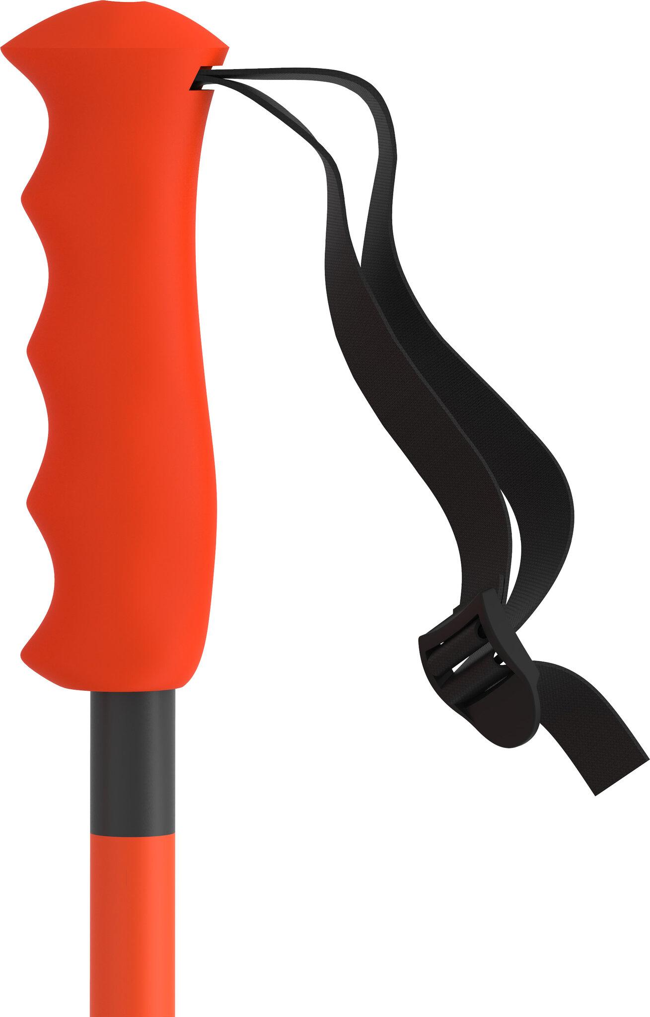 Numéro de l'image de la galerie de produits 5 pour le produit Bâton de ski Redster JR - Jeune
