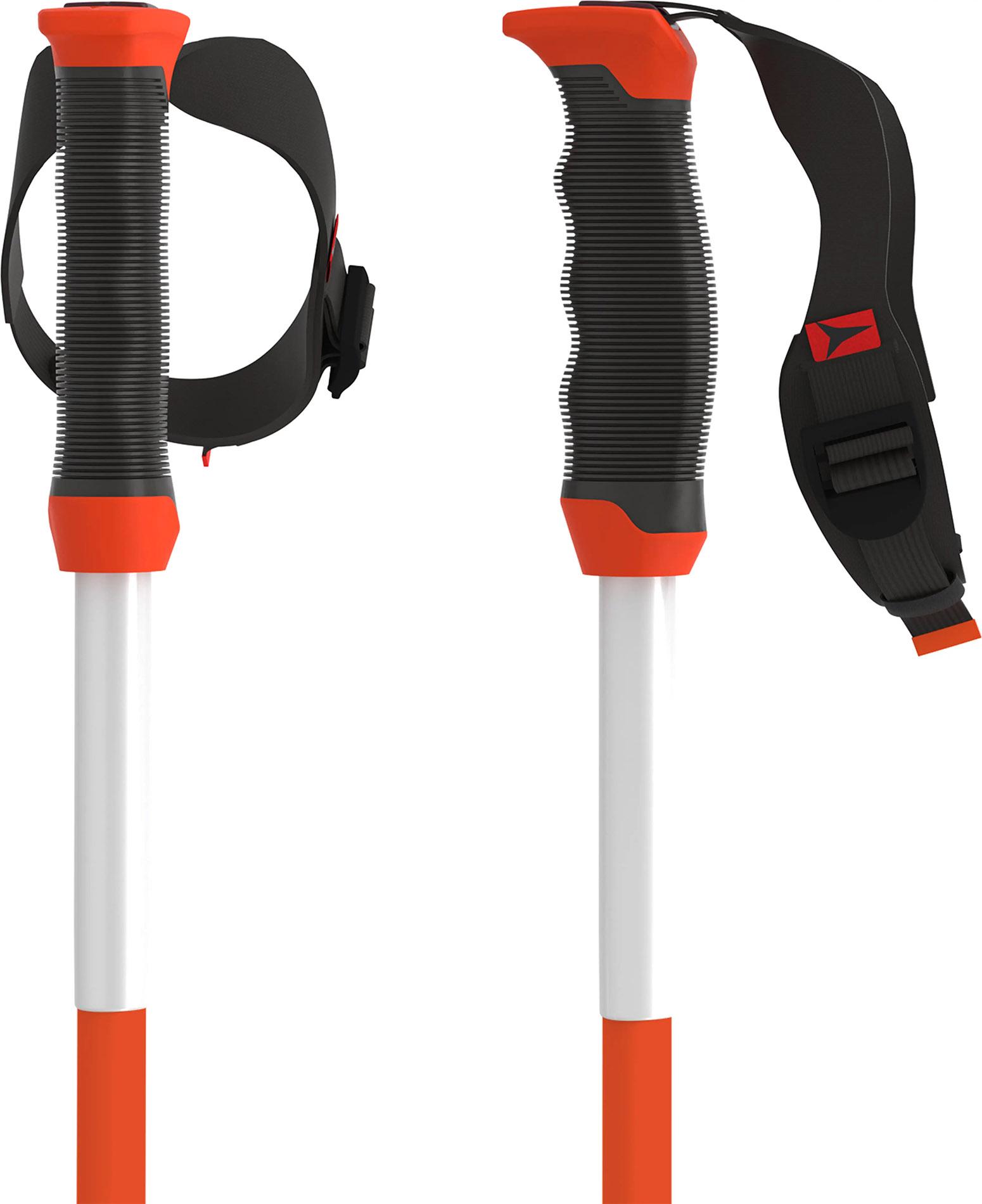 Numéro de l'image de la galerie de produits 2 pour le produit Bâtons de ski Redster JR SQS - Jeune