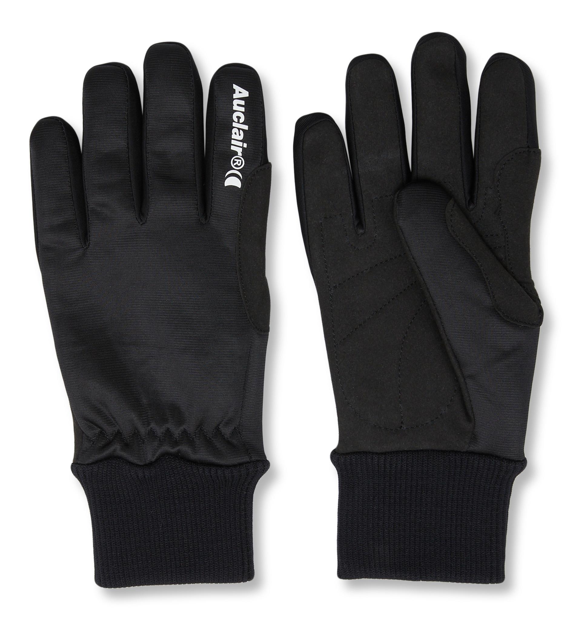 Product gallery image number 1 for product Capreol Gloves - Men's