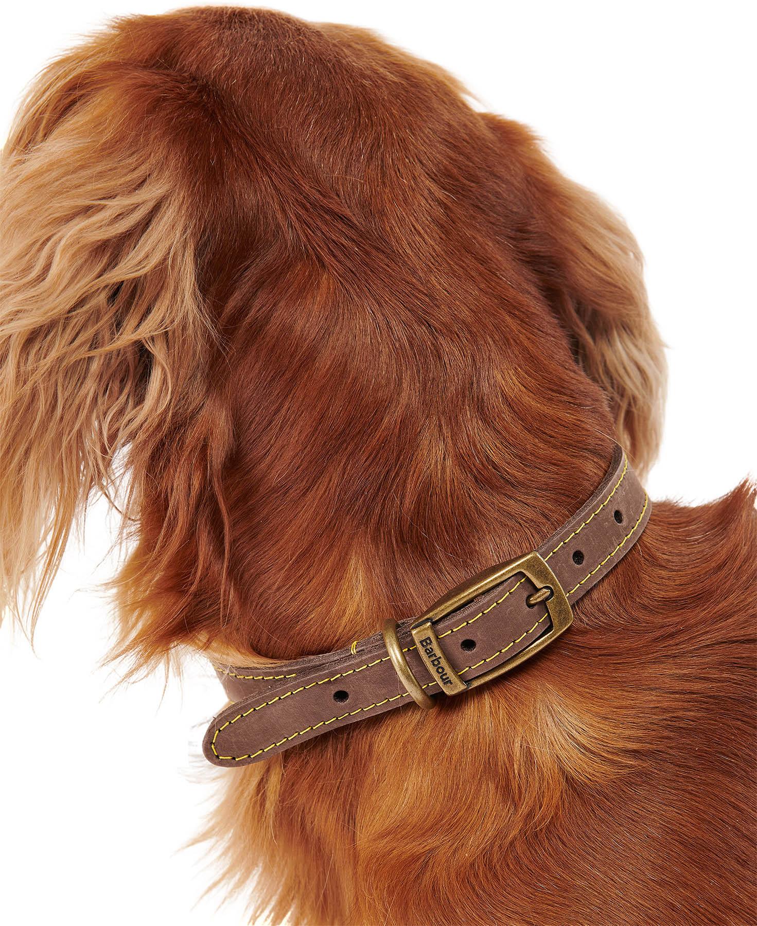 Numéro de l'image de la galerie de produits 3 pour le produit Collier pour chien en cuir