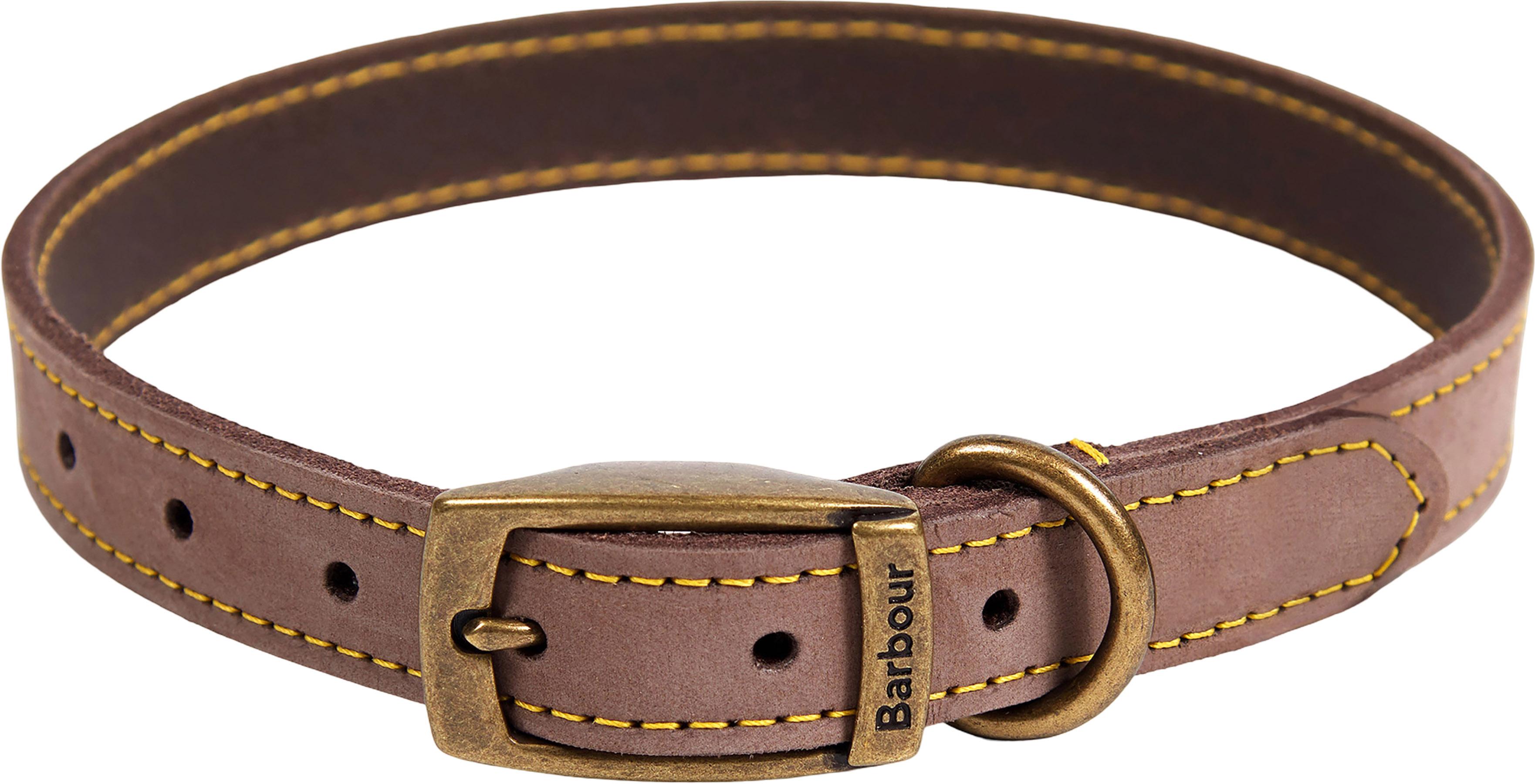 Image de produit pour Collier pour chien en cuir