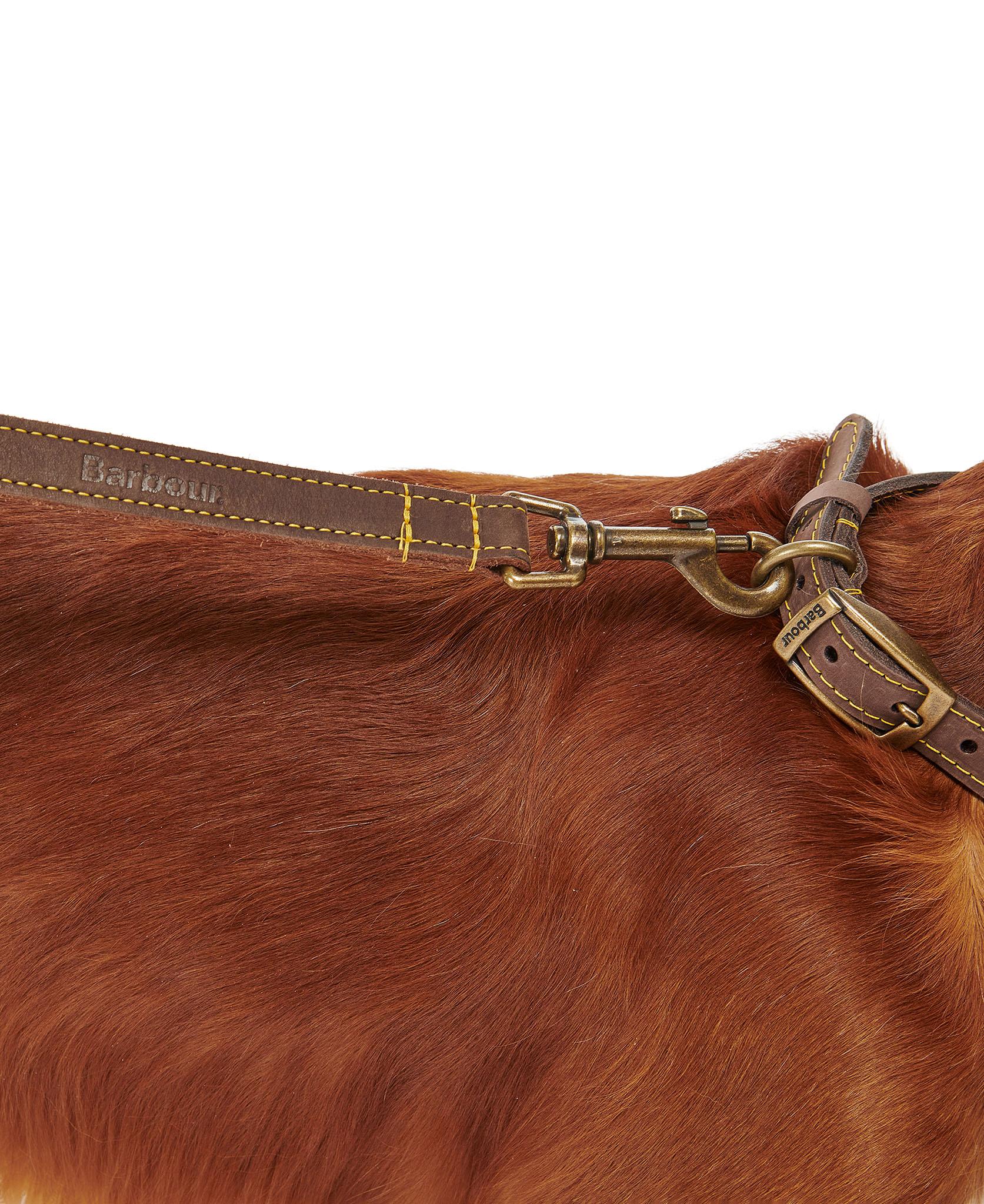 Product gallery image number 2 for product Leather Dog Lead