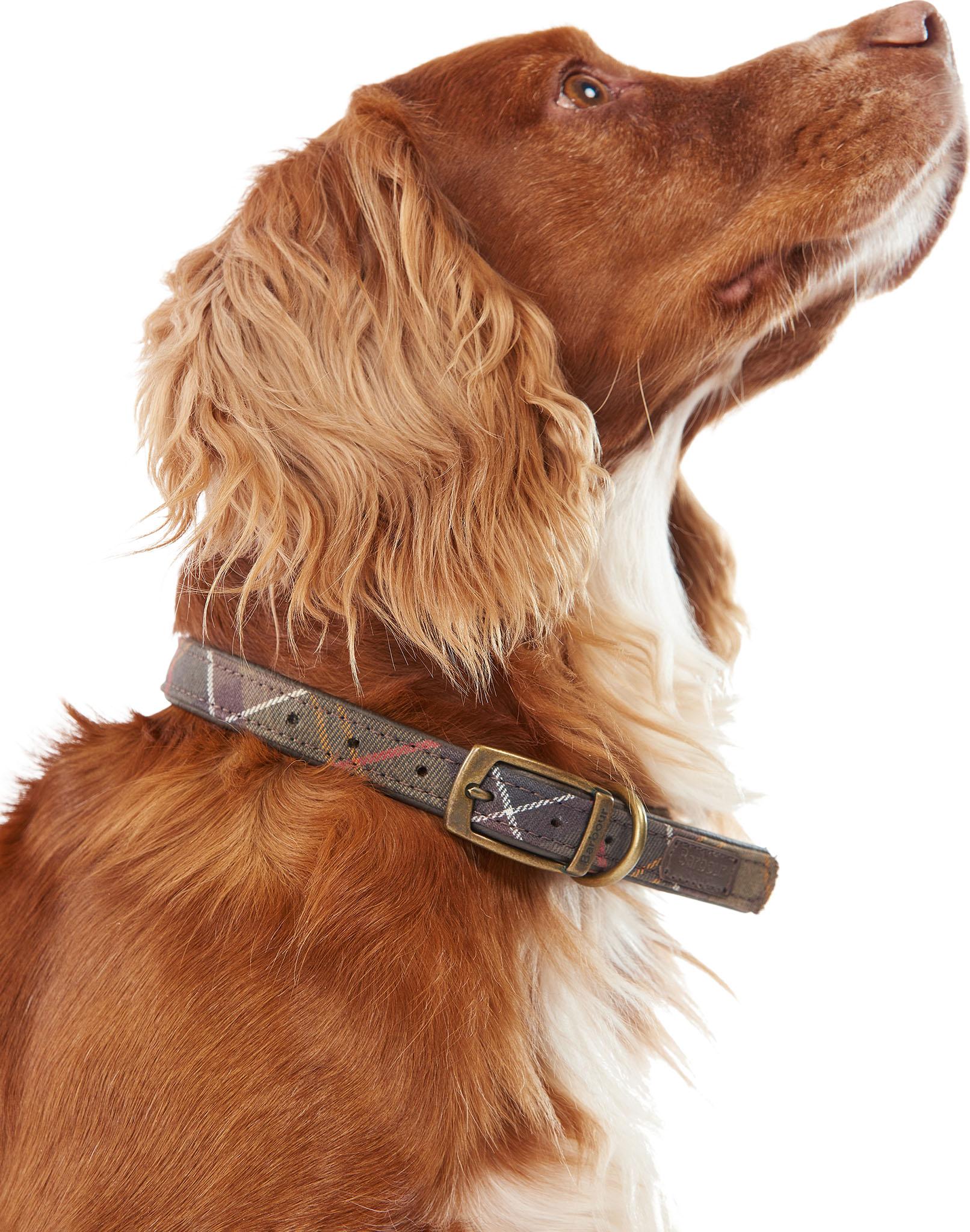 Product gallery image number 3 for product Tartan Dog Collar