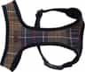 Colour: Tartan