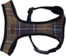 Colour: Tartan