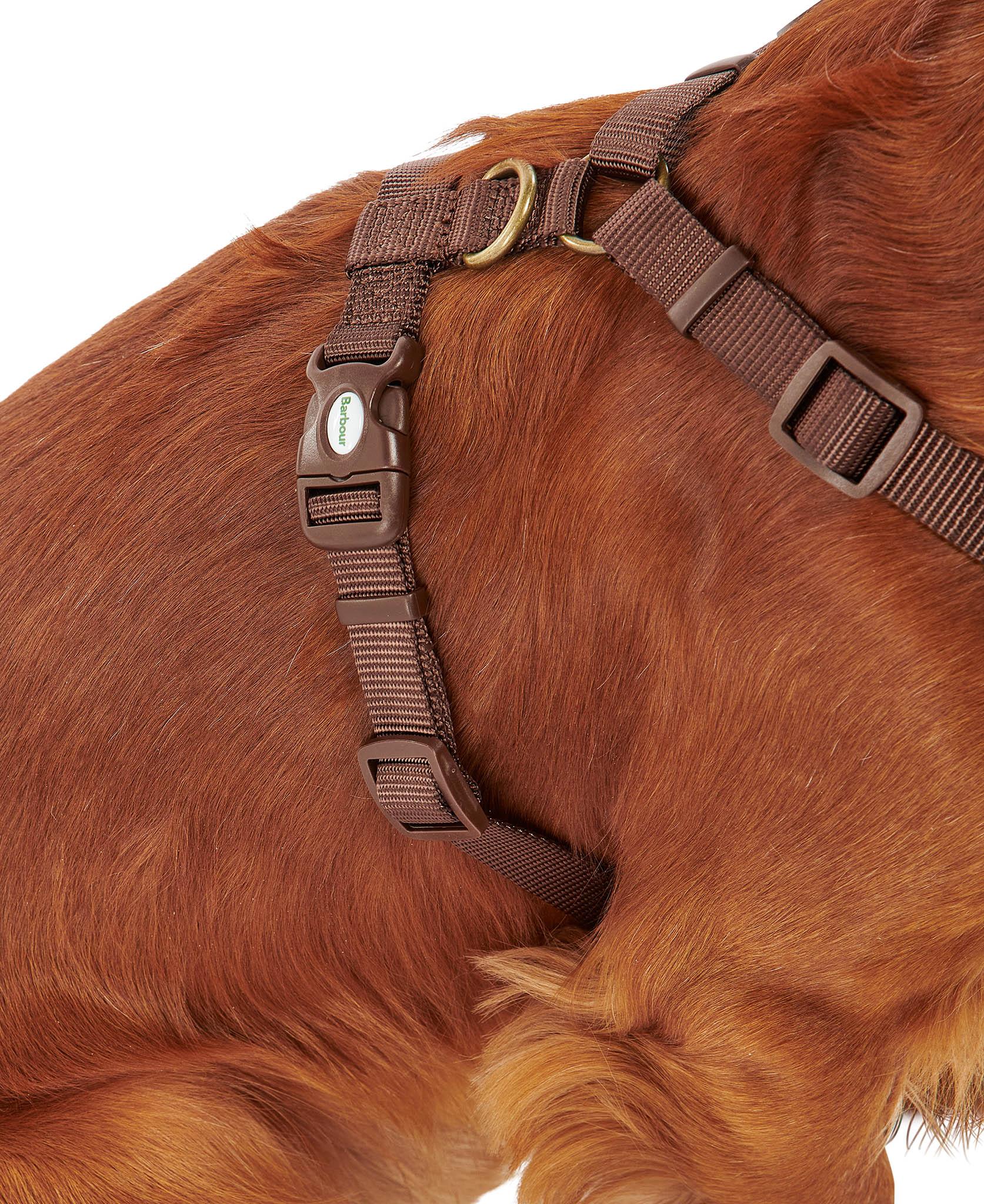Product gallery image number 4 for product Travel And Exercise Harness