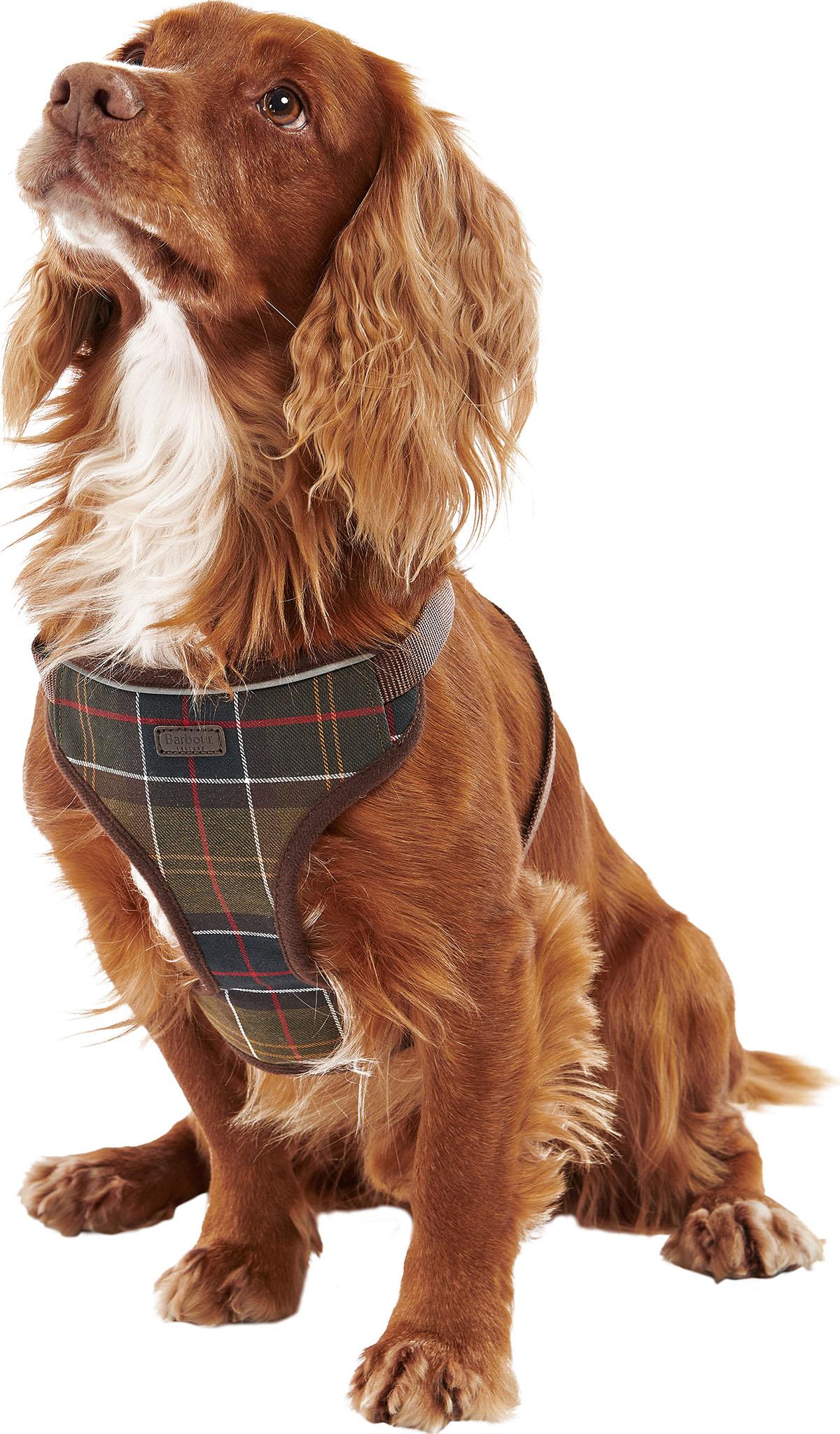 Product gallery image number 6 for product Travel And Exercise Harness