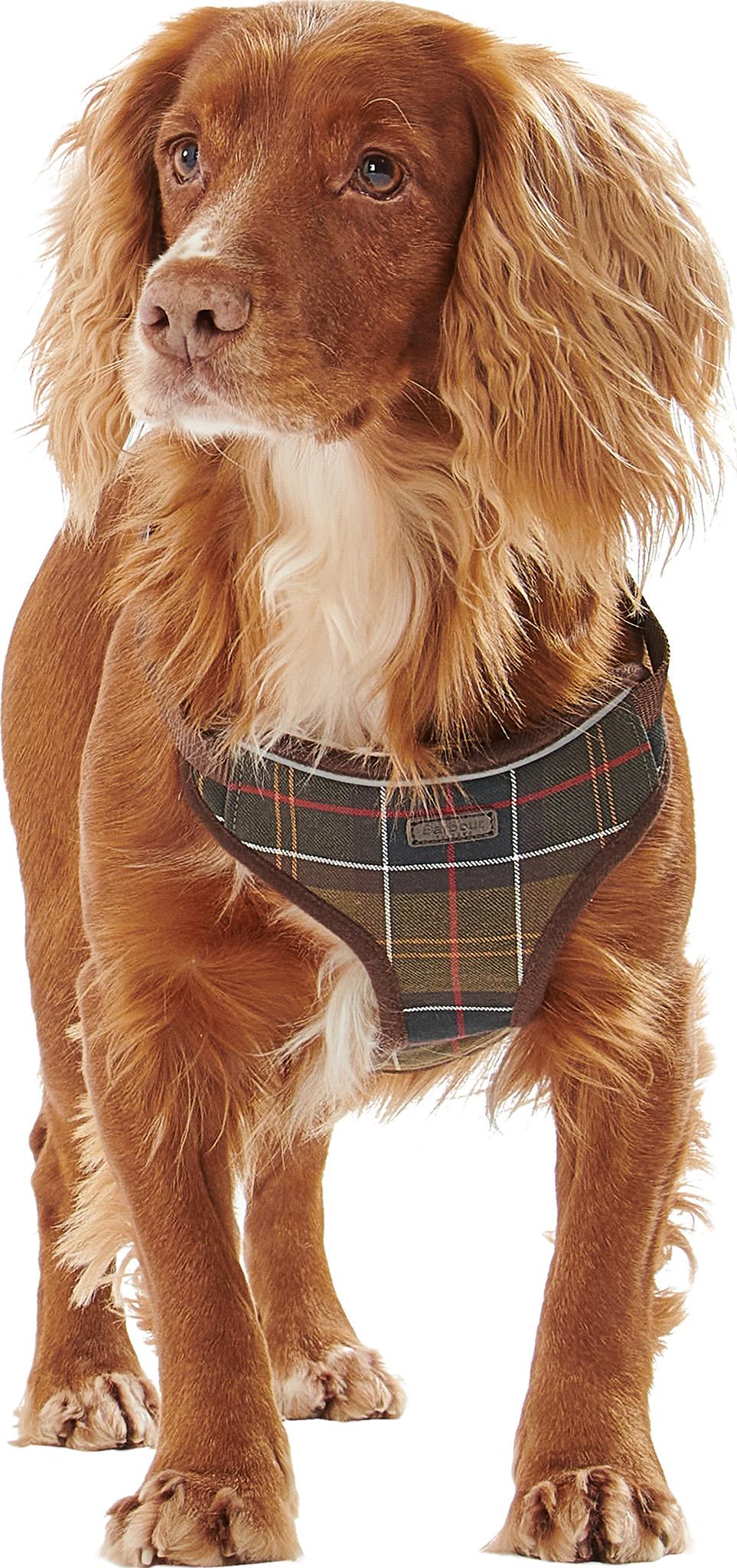 Product gallery image number 7 for product Travel And Exercise Harness