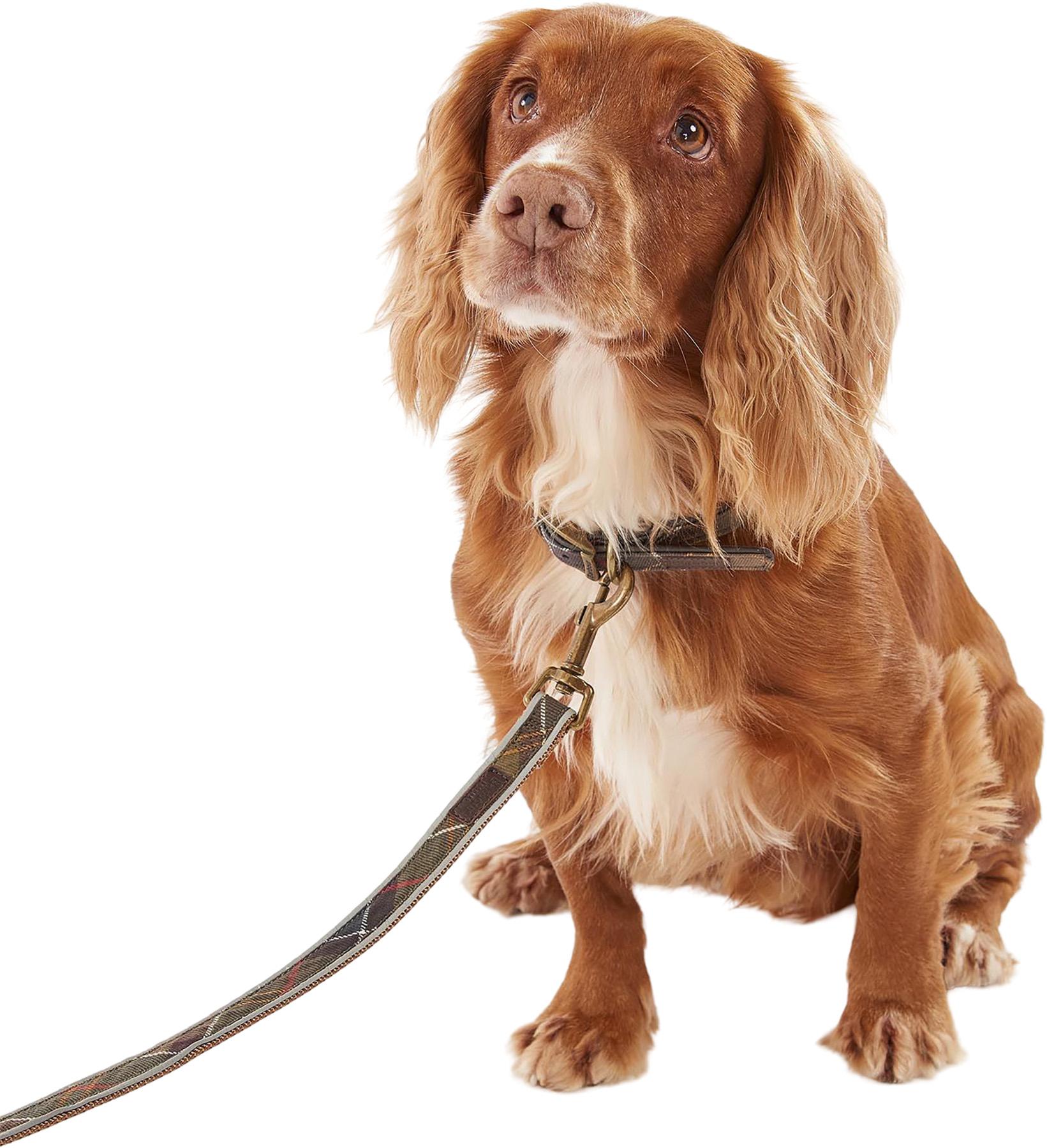 Product gallery image number 3 for product Reflective Tartan Dog Lead