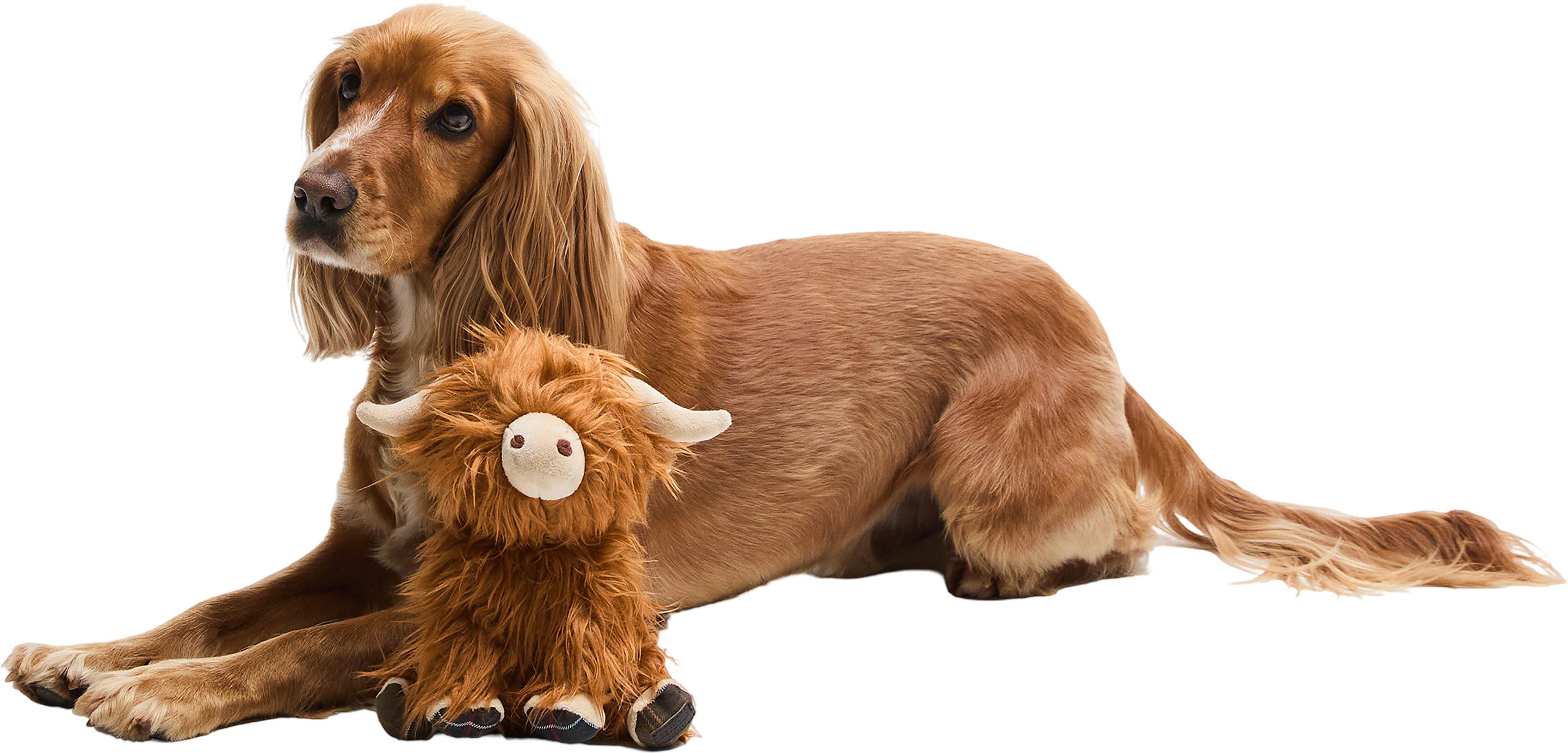 Product gallery image number 5 for product Highland Cow Dog Toy