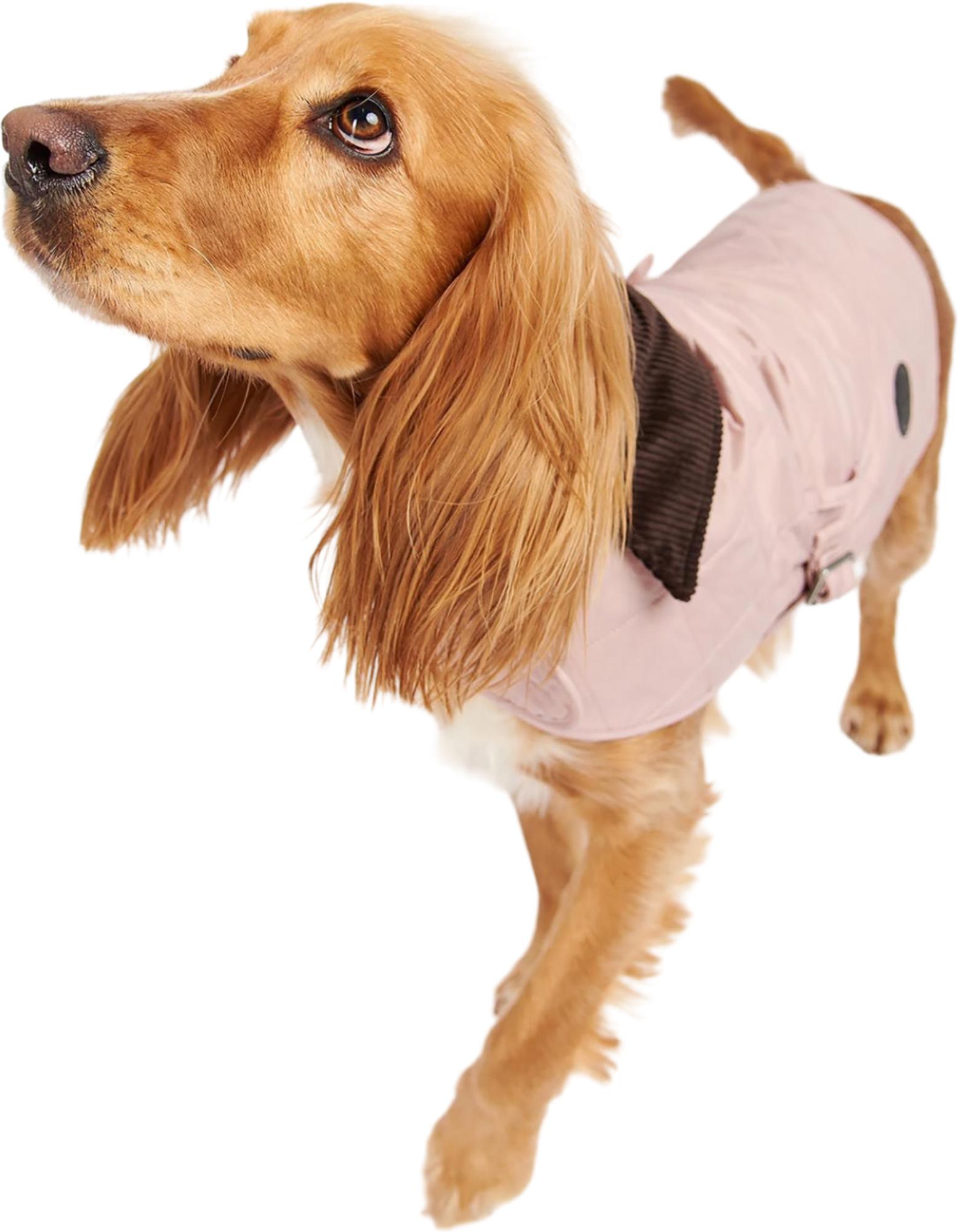 Product gallery image number 3 for product Quilted Dog Coat
