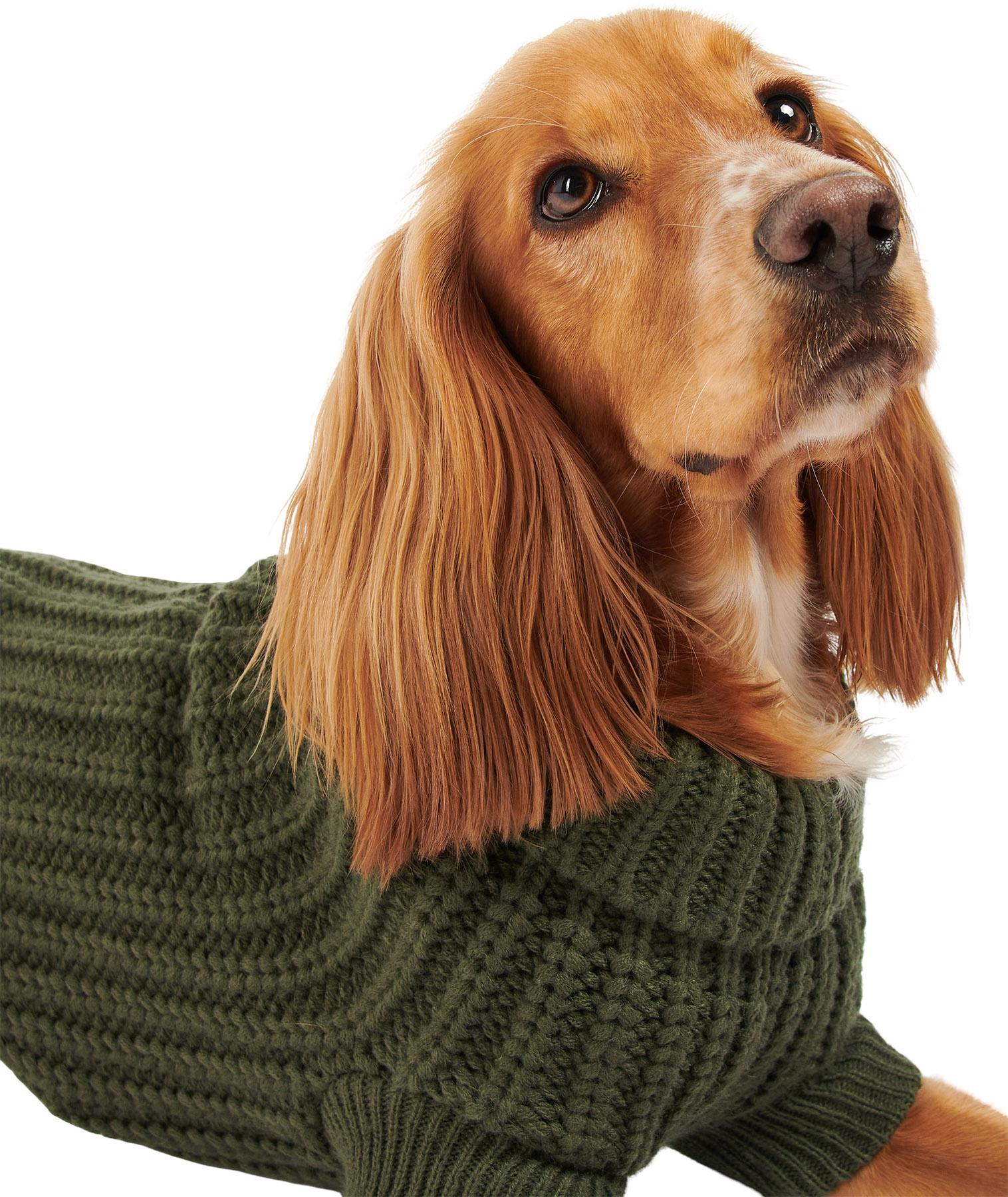 Product gallery image number 2 for product Saltburn Dog Jumper