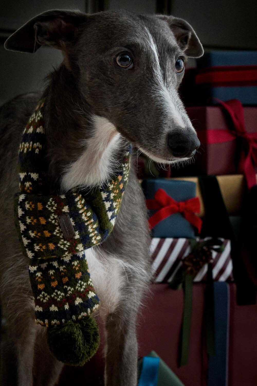 Product gallery image number 7 for product Marlow Fair Isle Dog Jumper