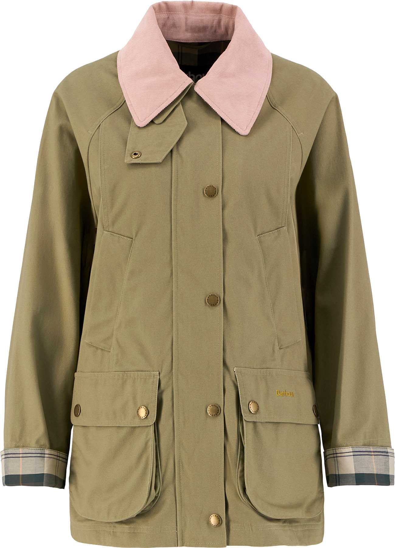 Bleached Olive - Ancient - Gardenia