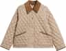 Couleur: Light Trench - Birchwood