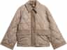 Colour: Light Trench - Ancient