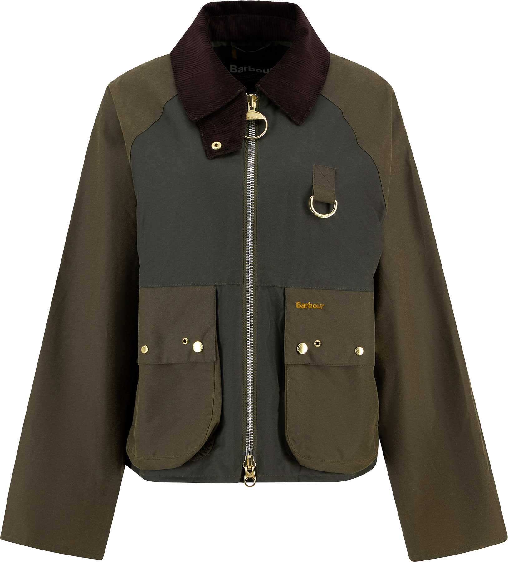 Archive Olive - Beech - Ancient Tartan