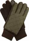 Couleur: Forest - Brown