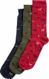 Couleur: Navy - Red - Green