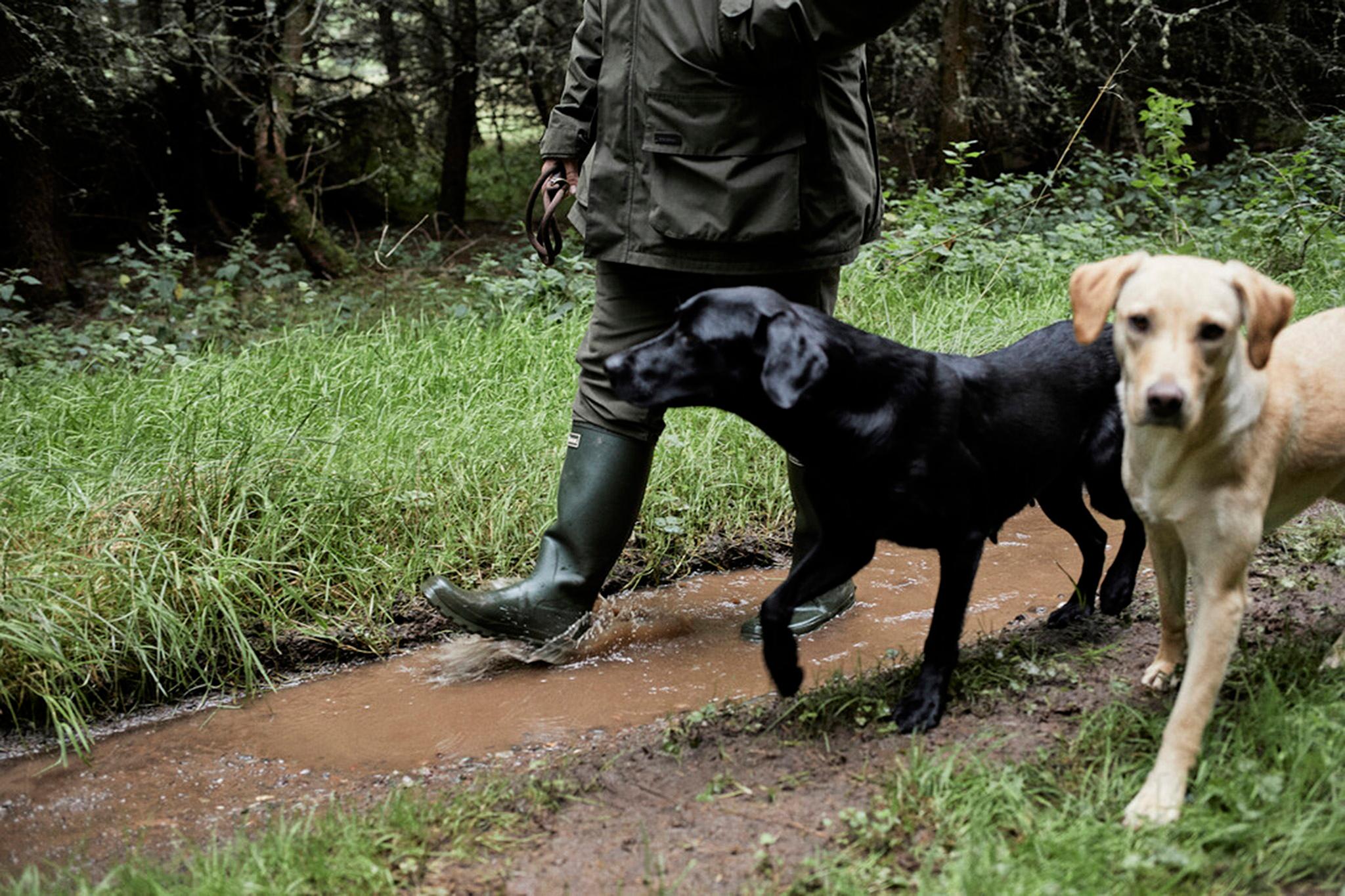 Numéro de l'image de la galerie de produits 10 pour le produit Bottes Bede Wellington - Homme