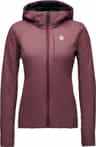 Colour: Fig