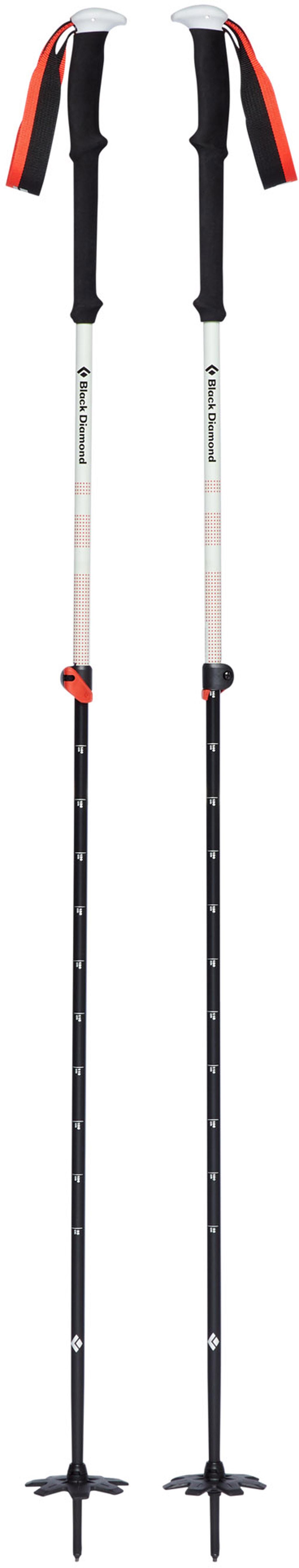 Product gallery image number 2 for product Expedition 2 Ski Poles