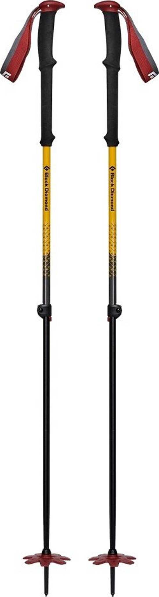 Image de produit pour Bâtons de ski Jc de Expedition - Unisexe