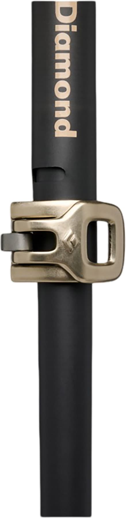 Numéro de l'image de la galerie de produits 3 pour le produit Bâtons de ski Expedition Carbon Pro