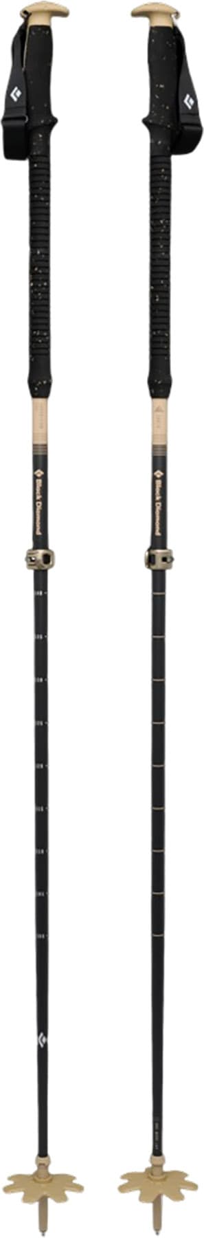 Image de produit pour Bâtons de ski Expedition Carbon Pro