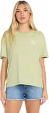 Colour: Pistachio