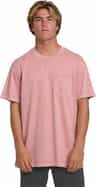 Colour: Ash Rose